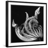 Dead Leaf, Hawaii, 1982-Brett Weston-Framed Photographic Print