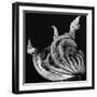 Dead Leaf, Hawaii, 1982-Brett Weston-Framed Photographic Print