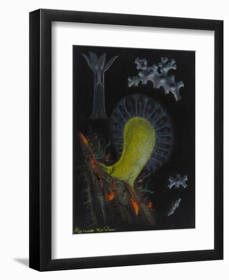 Dead Man's Fingers-Philip Henry Gosse-Framed Premium Giclee Print