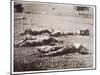 Dead on the Field of Gettysburg, July 1863-American Photographer-Mounted Giclee Print