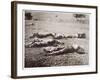 Dead on the Field of Gettysburg, July 1863-American Photographer-Framed Giclee Print