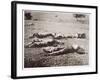 Dead on the Field of Gettysburg, July 1863-American Photographer-Framed Giclee Print