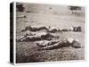 Dead on the Field of Gettysburg, July 1863-American Photographer-Stretched Canvas