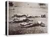 Dead on the Field of Gettysburg, July 1863-American Photographer-Stretched Canvas