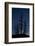 Dead Pine Trees with Moon Shining, Stuoc Peak, Durmitor Np, Montenegro, October 2008-Radisics-Framed Photographic Print