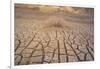 Dead Plant and Cracked Earth-DLILLC-Framed Photographic Print