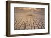 Dead Plant and Cracked Earth-DLILLC-Framed Photographic Print