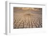 Dead Plant and Cracked Earth-DLILLC-Framed Photographic Print