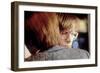 Dead Ringers (photo)-null-Framed Photo