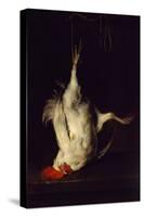 Dead Rooster-Gabriel Metsu-Stretched Canvas