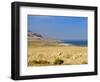 Dead Sea, Israel, Middle East-Michael DeFreitas-Framed Photographic Print