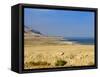 Dead Sea, Israel, Middle East-Michael DeFreitas-Framed Stretched Canvas