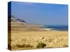 Dead Sea, Israel, Middle East-Michael DeFreitas-Stretched Canvas