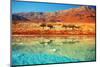 Dead Sea-vvvita-Mounted Photographic Print