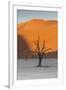 Dead silhouetted trees in Deadvlei, Sossusvlei, Namibia-Darrell Gulin-Framed Photographic Print