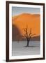 Dead silhouetted trees in Deadvlei, Sossusvlei, Namibia-Darrell Gulin-Framed Photographic Print