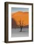 Dead silhouetted trees in Deadvlei, Sossusvlei, Namibia-Darrell Gulin-Framed Photographic Print