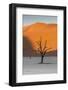 Dead silhouetted trees in Deadvlei, Sossusvlei, Namibia-Darrell Gulin-Framed Photographic Print
