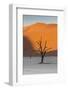 Dead silhouetted trees in Deadvlei, Sossusvlei, Namibia-Darrell Gulin-Framed Photographic Print