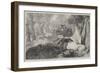 Dead Swan and Peacock-Sir John Gilbert-Framed Giclee Print