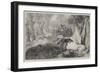 Dead Swan and Peacock-Sir John Gilbert-Framed Giclee Print