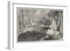 Dead Swan and Peacock-Sir John Gilbert-Framed Giclee Print