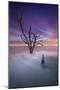 Dead Tree 2-Moises Levy-Mounted Photographic Print