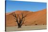 Dead Tree and Red Sand Dunes-Circumnavigation-Stretched Canvas