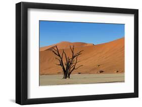 Dead Tree and Red Sand Dunes-Circumnavigation-Framed Photographic Print