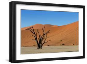 Dead Tree and Red Sand Dunes-Circumnavigation-Framed Photographic Print