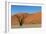 Dead Tree and Red Sand Dunes-Circumnavigation-Framed Photographic Print