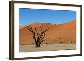 Dead Tree and Red Sand Dunes-Circumnavigation-Framed Photographic Print