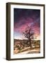 Dead Tree at Sunset, Near Moab, Utah-Matt Jones-Framed Photographic Print