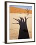 Dead Tree Casts Shadow on Dry Lakebed, , Sossusvlei, Namibia, Africa-Wendy Kaveney-Framed Photographic Print