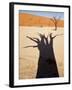 Dead Tree Casts Shadow on Dry Lakebed, , Sossusvlei, Namibia, Africa-Wendy Kaveney-Framed Photographic Print