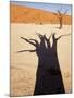 Dead Tree Casts Shadow on Dry Lakebed, , Sossusvlei, Namibia, Africa-Wendy Kaveney-Mounted Photographic Print