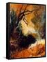 Dead Tree End of Summer-Pol Ledent-Framed Stretched Canvas