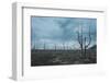 Dead Tree Forest on the Tolbachik Volcano, Kamchatka, Russia, Eurasia-Michael-Framed Photographic Print