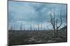 Dead Tree Forest on the Tolbachik Volcano, Kamchatka, Russia, Eurasia-Michael-Mounted Photographic Print