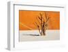 Dead Tree in Dead Vlei - Sossusvlei, Namib Desert, Namibia-DmitryP-Framed Premium Photographic Print