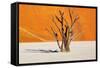 Dead Tree in Dead Vlei - Sossusvlei, Namib Desert, Namibia-DmitryP-Framed Stretched Canvas