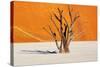 Dead Tree in Dead Vlei - Sossusvlei, Namib Desert, Namibia-DmitryP-Stretched Canvas