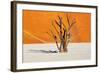 Dead Tree in Dead Vlei - Sossusvlei, Namib Desert, Namibia-DmitryP-Framed Photographic Print