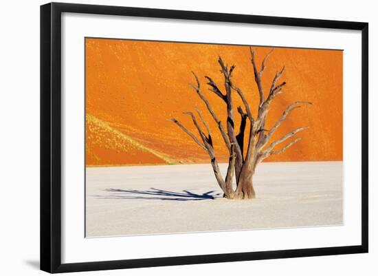 Dead Tree in Dead Vlei - Sossusvlei, Namib Desert, Namibia-DmitryP-Framed Photographic Print