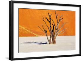 Dead Tree in Dead Vlei - Sossusvlei, Namib Desert, Namibia-DmitryP-Framed Photographic Print