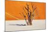 Dead Tree in Dead Vlei - Sossusvlei, Namib Desert, Namibia-DmitryP-Mounted Photographic Print