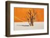 Dead Tree in Dead Vlei - Sossusvlei, Namib Desert, Namibia-DmitryP-Framed Photographic Print