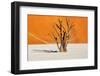 Dead Tree in Dead Vlei - Sossusvlei, Namib Desert, Namibia-DmitryP-Framed Photographic Print