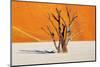 Dead Tree in Dead Vlei - Sossusvlei, Namib Desert, Namibia-DmitryP-Mounted Photographic Print