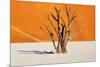 Dead Tree in Dead Vlei - Sossusvlei, Namib Desert, Namibia-DmitryP-Mounted Photographic Print